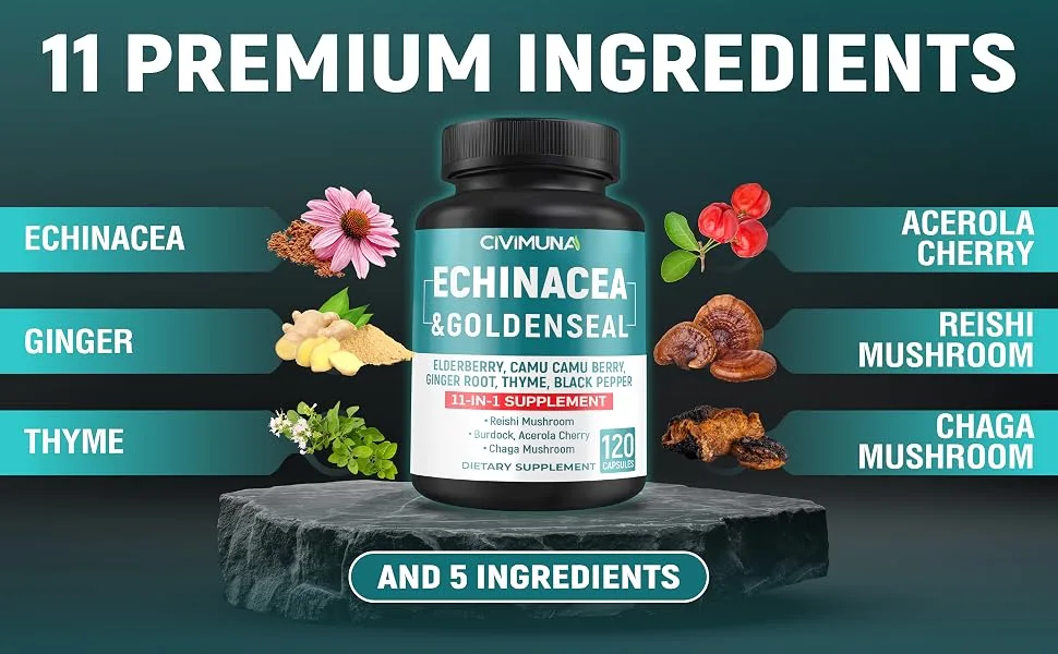 CIVIMUNA Echinacea Extract Capsules with Echinacea Goldenseal Root Elderberry and More - 120 Capsules for 4 Months Supply - B0BFMB5FD5