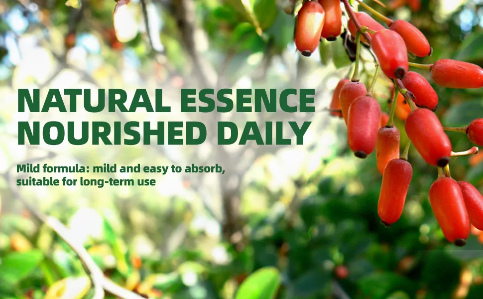 ACEYO Berberine Gummies for Immune Support & Promote Digestion - Natural Berberine HCL Cinnamon Supplement - 60 Vegan Gummies for Adults - BERBERINE GUMMY
