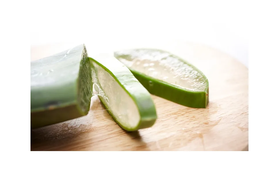 Aloe Vera Leaf Extract 100 (10ml 5ea) - nature