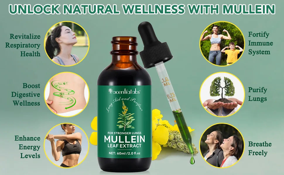 2 Pack Mullein Drops for Lungs Mullein Leaf Extract with Chlorophyll Mullein Leaf Extract for Lung Cleanse and Respiratory Support -2 Bottles 4 Fl Oz (Pack of 1) - Mullein Drops for Lungs