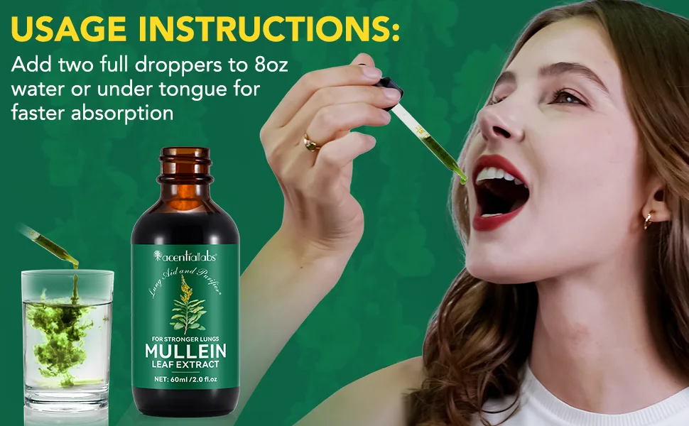 2 Pack Mullein Drops for Lungs Mullein Leaf Extract with Chlorophyll Mullein Leaf Extract for Lung Cleanse and Respiratory Support -2 Bottles 4 Fl Oz (Pack of 1) - MULLEIN LEAF EXTRACT