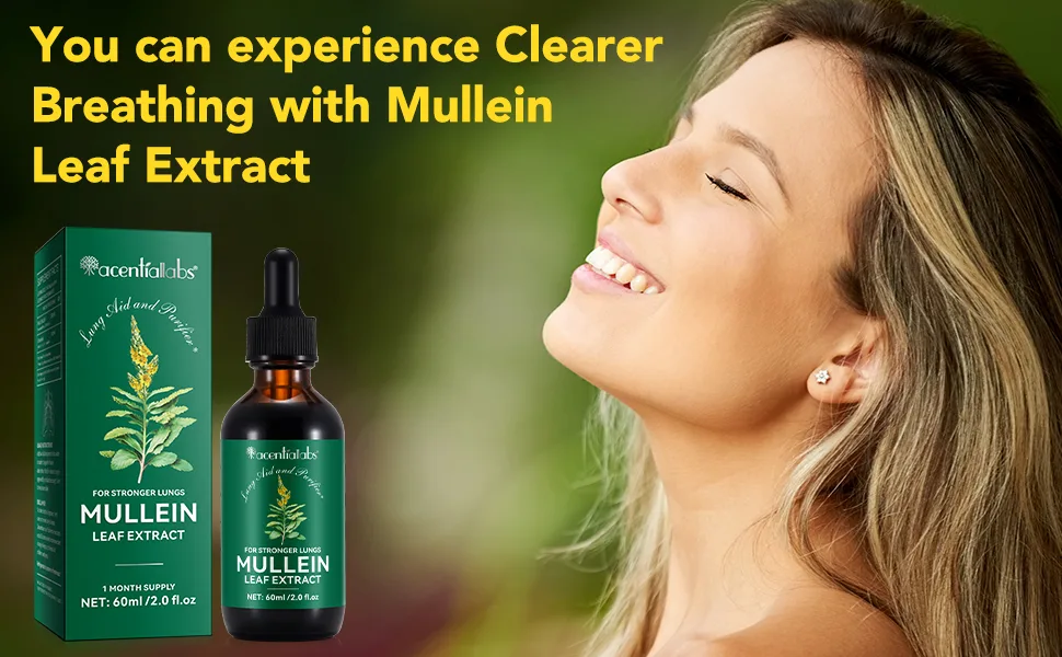 2 Pack Mullein Drops for Lungs Mullein Leaf Extract with Chlorophyll Mullein Leaf Extract for Lung Cleanse and Respiratory Support -2 Bottles 4 Fl Oz (Pack of 1) - MULLEIN LEAF EXTRACT