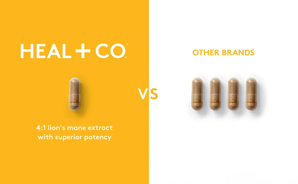 HEAL + CO. Lion's Mane 120 Caps - Heal+Co