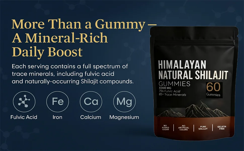 Himalayan Shilajit Gummies Natural Energy and Focus Non-GMO 60 Gummies (1) - Himalayan Shilajit Gummies