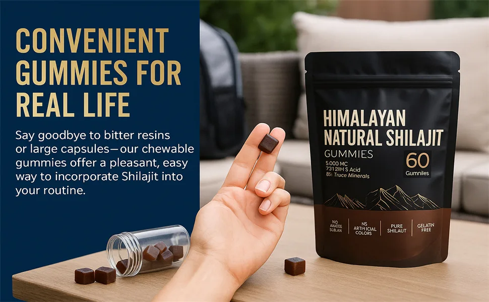 Himalayan Shilajit Gummies Natural Energy and Focus Non-GMO 60 Gummies (1) - Himalayan Shilajit Gummies
