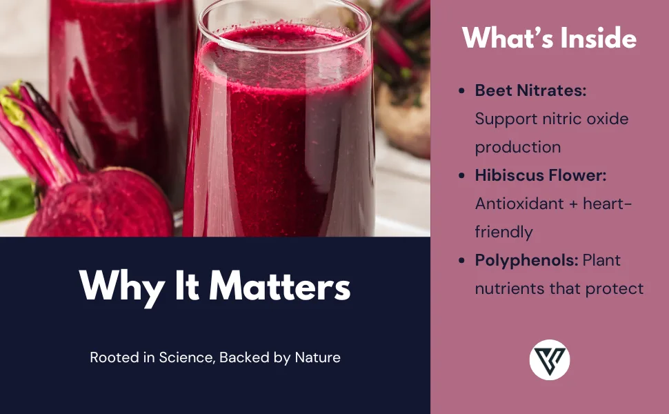 Visible Science Beet Root Powder Superfood with Antioxidants Circulation & Endurance Support 219 Grams 1 Jar - Visible Science Beet Root Powder