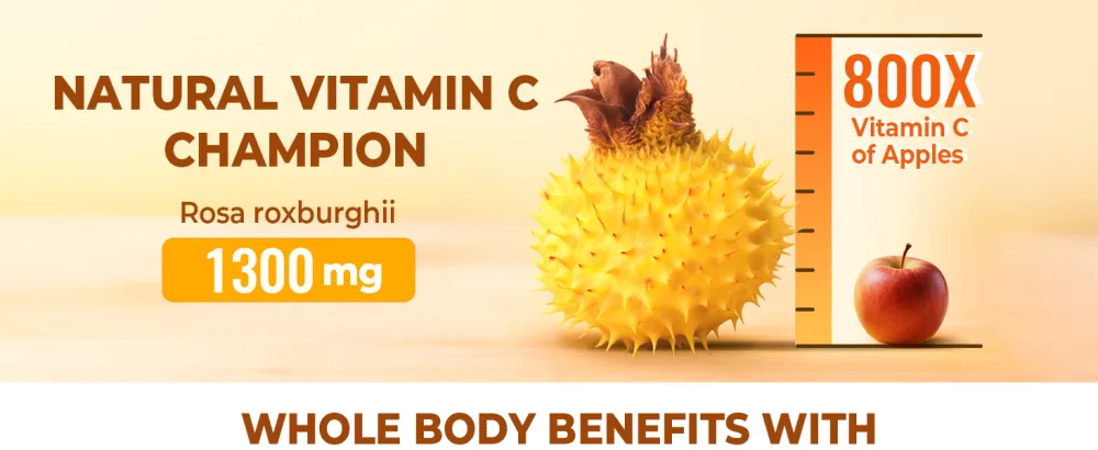 Organic Rosa Roxburghii | Natural Vitamin C Superfood |Chestnut Rose Fruit 1300mg | 60 Capsules - material