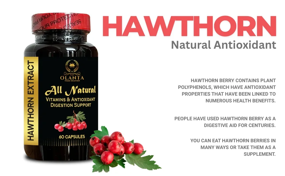 OLANTA TRADE SOLUTION Hawthorn Berry Extract Supplement Herbal Antioxidant & Daily Vitality Formula Plant-Based Immunity Wellness Support Non-GMO Vegan 1 Bottle 60 Capsules - Daily Herbal Antioxidant Support