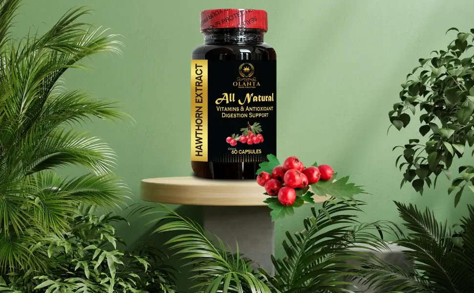 OLANTA TRADE SOLUTION Premium Hawthorn Berry Extract Herbal Antioxidant & Plant-Based Wellness Support Daily Immunity Formula Gluten-Free Non-GMO 2 Bottles 120 Capsules - Hawthorn Berry Extract