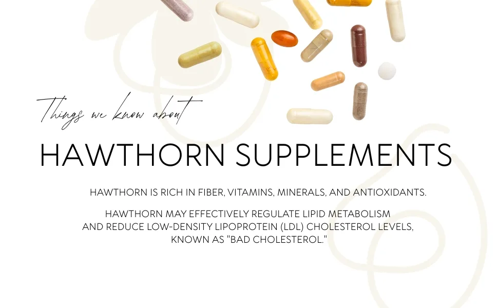 OLANTA TRADE SOLUTION Premium Hawthorn Berry Extract Herbal Antioxidant & Plant-Based Wellness Support Daily Immunity Formula Gluten-Free Non-GMO 2 Bottles 120 Capsules - Plant-Based Herbal Antioxidant