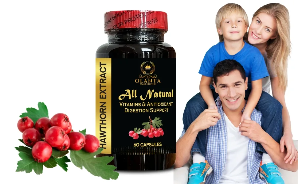 Hawthorn Berry Extract Supplement Herbal Antioxidant & Natural Wellness Formula Daily Immunity Balance Support Vegan Non-GMO 1 Bottle 60 Capsules - Antioxidant Herbal Formula for Wellbeing