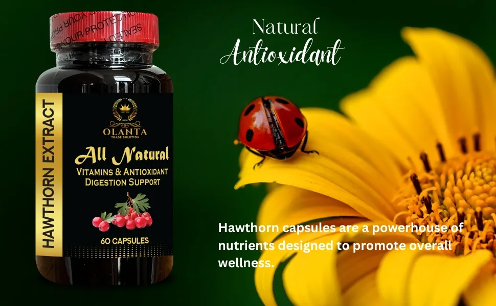 Hawthorn Berry Extract Supplement Herbal Antioxidant & Natural Wellness Formula Daily Immunity Balance Support Vegan Non-GMO 1 Bottle 60 Capsules - Antioxidant-Rich Herbal Supplement