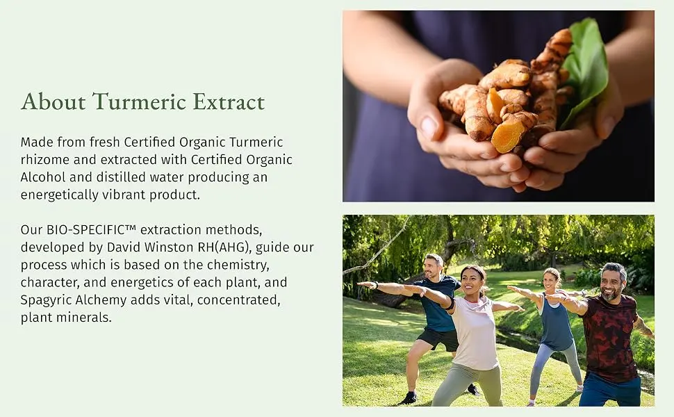 Herbalist & Alchemist Turmeric Extract Supports Healthy Liver Function* (4 Fl Oz) 4 Fl Oz (Pack of 1) - about