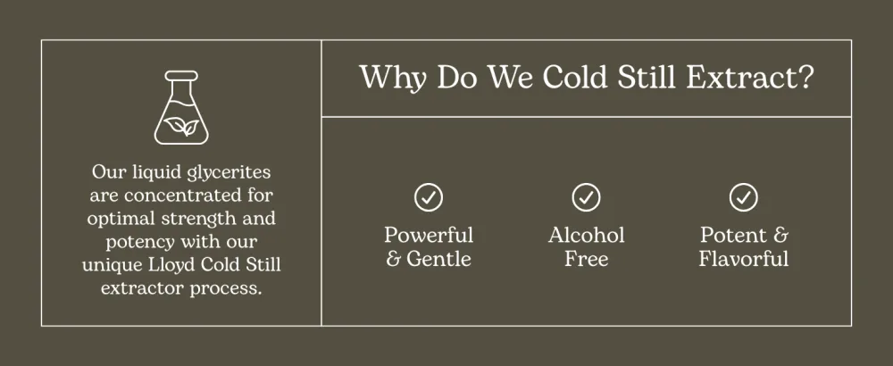 Eclectic Herb - Echinacea Premium Blend for Kids Liquid Drops | Seasonal Immune Support | Vegan Non-GMO Gluten Free Alcohol-Free (2 fl oz | 60 ml) - Cold Still Kids