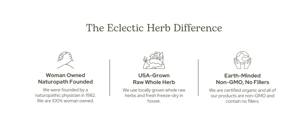 Eclectic Herb - Echinacea Premium Blend for Kids Liquid Drops | Seasonal Immune Support | Vegan Non-GMO Gluten Free Alcohol-Free (2 fl oz | 60 ml) - Eclectic Herb Difference Kids
