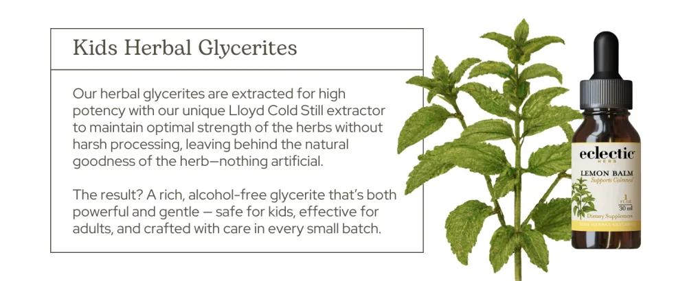 Eclectic Herb - Echinacea Premium Blend for Kids Liquid Drops | Seasonal Immune Support | Vegan Non-GMO Gluten Free Alcohol-Free (2 fl oz | 60 ml) - Kids Herbal Glycerites
