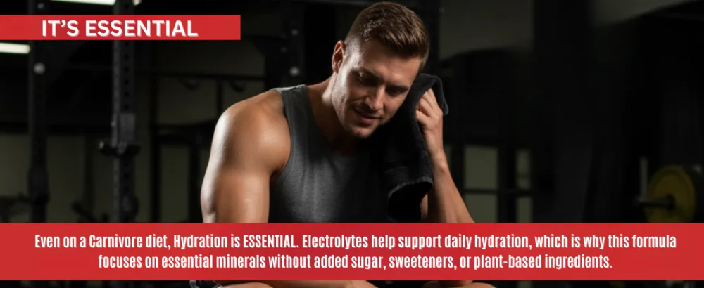 Premium Hydration Powder for Carnivore Diet - Balanced Electrolyte Support Zero Sugar Zero Carb Keto Friendly - Supplement for Optimal Energy & Recovery - 20 Stick Packets Per Pouch (Unflavored) - Carnivore On The Go Electrolytes