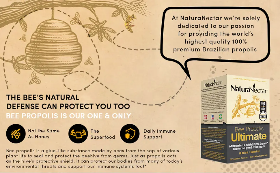 NaturaNectar Natural Bee Propolis Bundle Bee Propolis Ultimate and Brown Bee Propolis - for Immune Cardiovascular and Respiratory Systems Support - 60 Capsules per Bottle - NaturaNectar