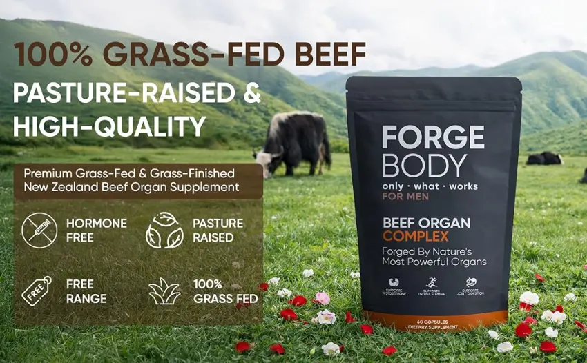 KXVUDE Forgebody Beef Organ Complex Capsules Grass Fed & Pasture Raised - Total Body Wellness & Performance Immune Support Gluten-Free Non-GMO 60 Count (1) - product information 3