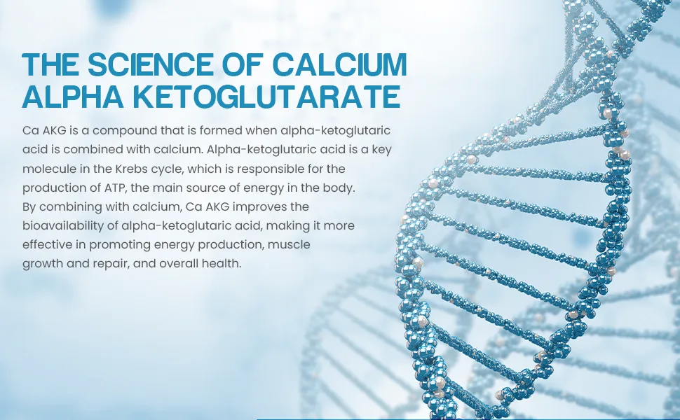 HealthSpan Plus Labs Ca AKG (Calcium Alpha-Ketoglutarate) Capsules 250mg 60 Count - AKG is a key molecule in the krebs cycle which produces energy in the body.