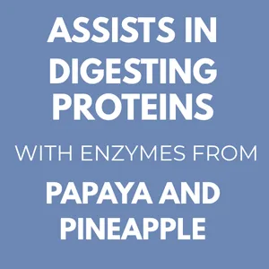 Arymar Pancrazyne Probiotics Digestive Enzymes with Amylase Protease Lipase & Lactobacillus Gut Health & Digestive Support Supplement 60 Capsules - product information 5