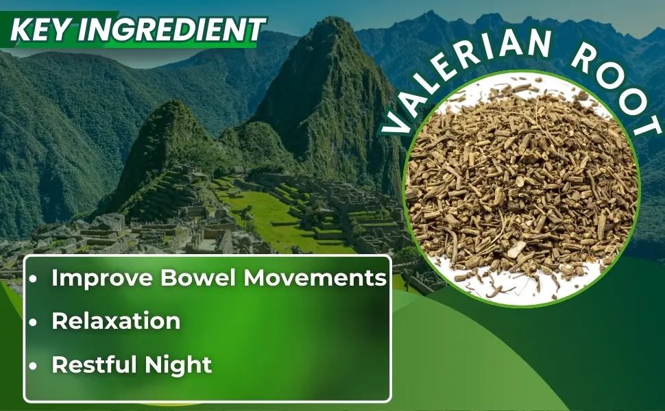 Hanan Peruvian Secrets Valerian Root Capsules (100ct) - Pure Valeriana Te de Valeriana Herbal Calming Night Relaxation Wellness Support Tea Supplement from Peru - roots herb estrés capsulas natures way supplement kids nature made valaria