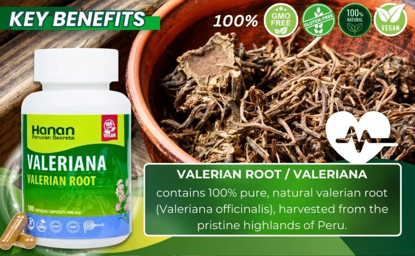 Hanan Peruvian Secrets Valerian Root Capsules (100ct) - Pure Valeriana Te de Valeriana Herbal Calming Night Relaxation Wellness Support Tea Supplement from Peru - tincture valarian gotas valeria pasiflora la nervios organica en cápsulas powder