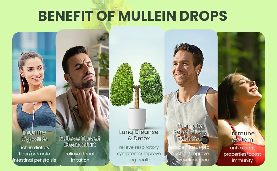 BIOZQYNK Mullein Drops Lung Cleanse - Leaf Extract - Powerful Mullein for Immune Support Detox & Respiratory Support- Lung Cleanse for Smokers Vegan Alcohol-Free (2 fl oz) - product information 5