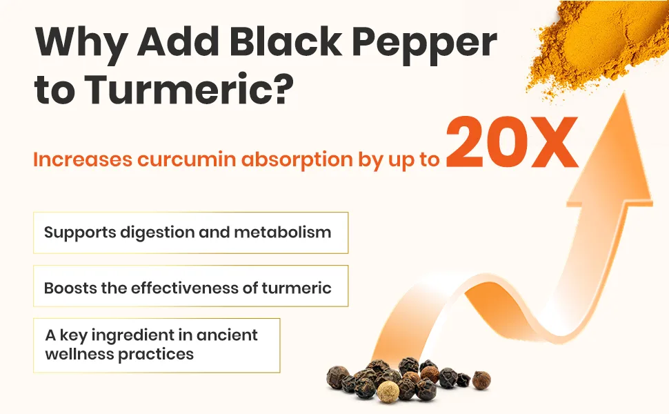 Turmeric Supplement Complex Herbal Formula with Ginger Artichoke Fennel & Black Pepper 120 Capsules 120 Count (Pack of 1) - Why Add