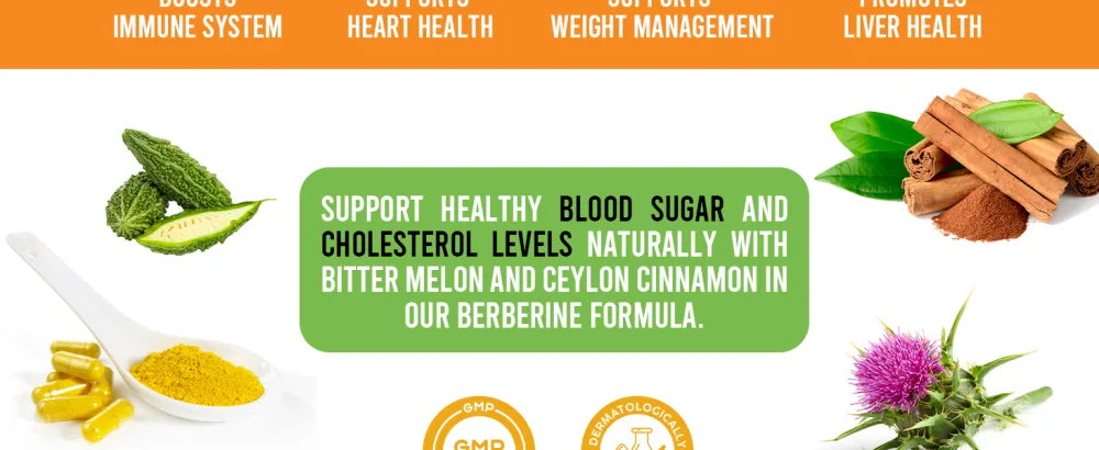 HARMONIFY Berberine Supplement with Ceylon Cinnamon Milk Thistle Turmeric Bitter Melon Complex 120 Capsules 1000 mg Vegan Non-GMO - Berberine with Ceylon Cinnamon supplement 120 veggie capsules
