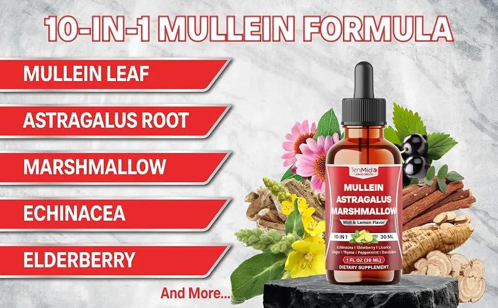 Tenmido 10in1 Mullein Tincture - Mullein Leaf Extract Drops with Astragalus Marshmallow Root Echinacea Elderberry Licorice Ginger Thyme Leaf Peppermint and Dandelion - 30 Days Supply - 1FL Oz - wild mullein drops for lungs mullein extract for lungs mullein leaves mullen drops mullein x