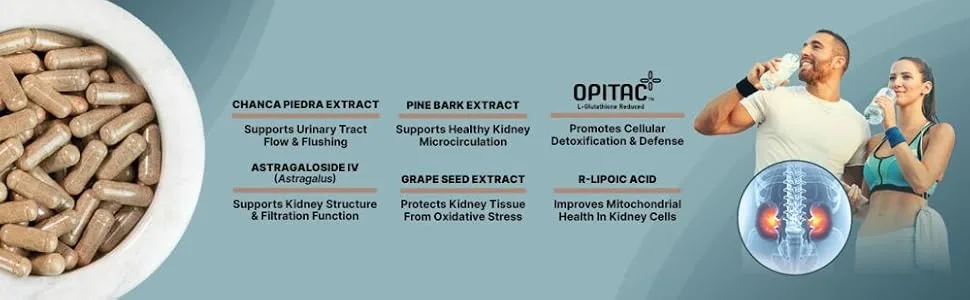 NutraBio Advanced Kidney Support Supplement- Kidney Cleanse Detox & Repair Health Supplement- 30 Servings- 90 Capsules - Benefits and ingredients