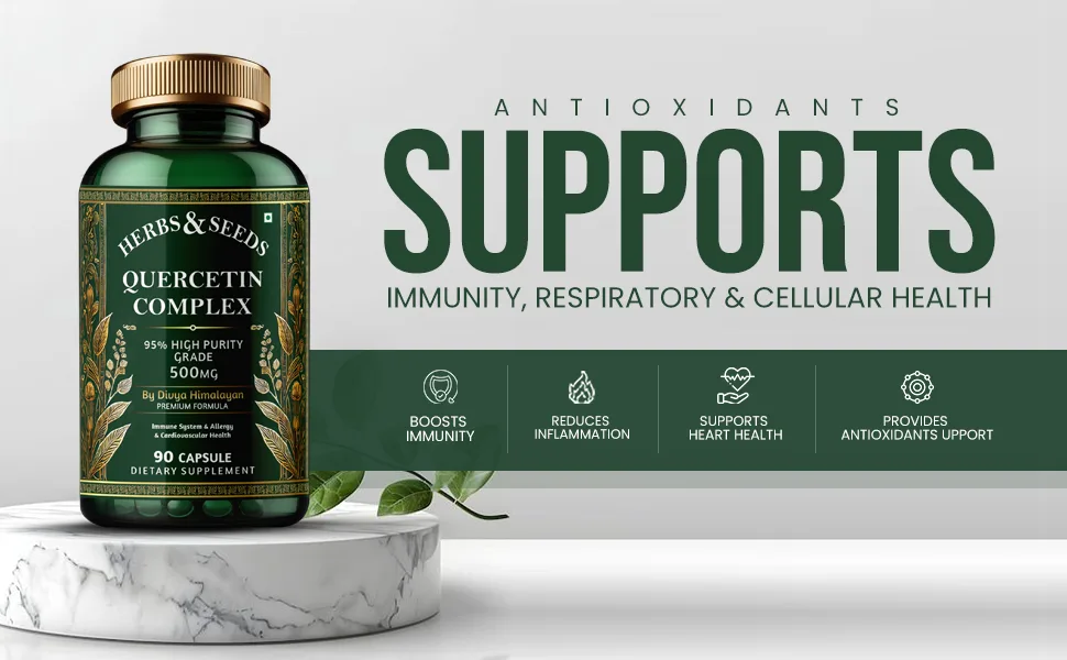 HERBS & SEEDS Quercetin Complex 500mg Supplement Natural Vegan Sources with Bioflavonoids & Potent Antioxidants for Cellular Health Support & Promotes Immunity 90 Capsules - Quercetin Complex