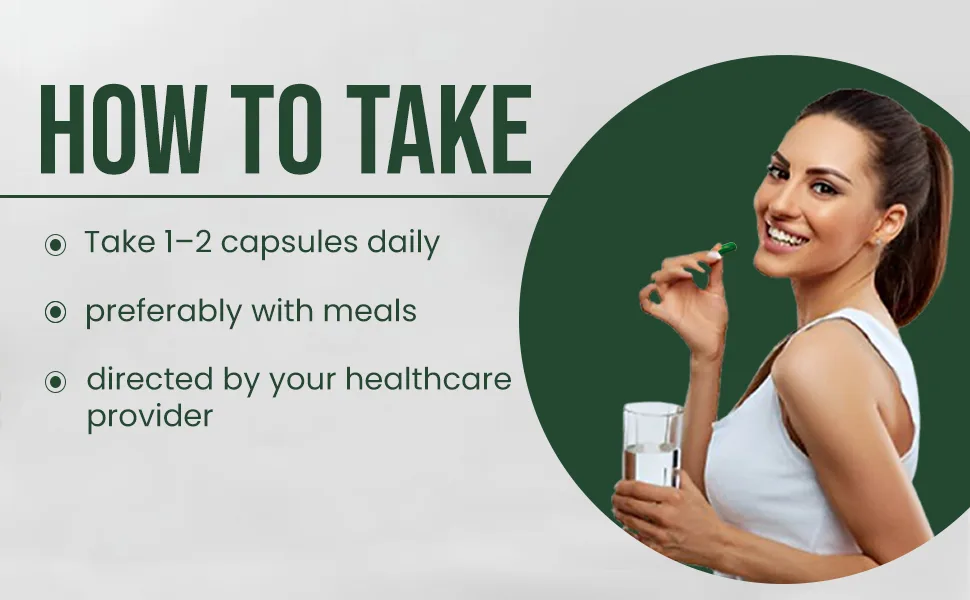 HERBS & SEEDS Quercetin Complex 500mg Supplement Natural Vegan Sources with Bioflavonoids & Potent Antioxidants for Cellular Health Support & Promotes Immunity 90 Capsules - Quercetin Complex