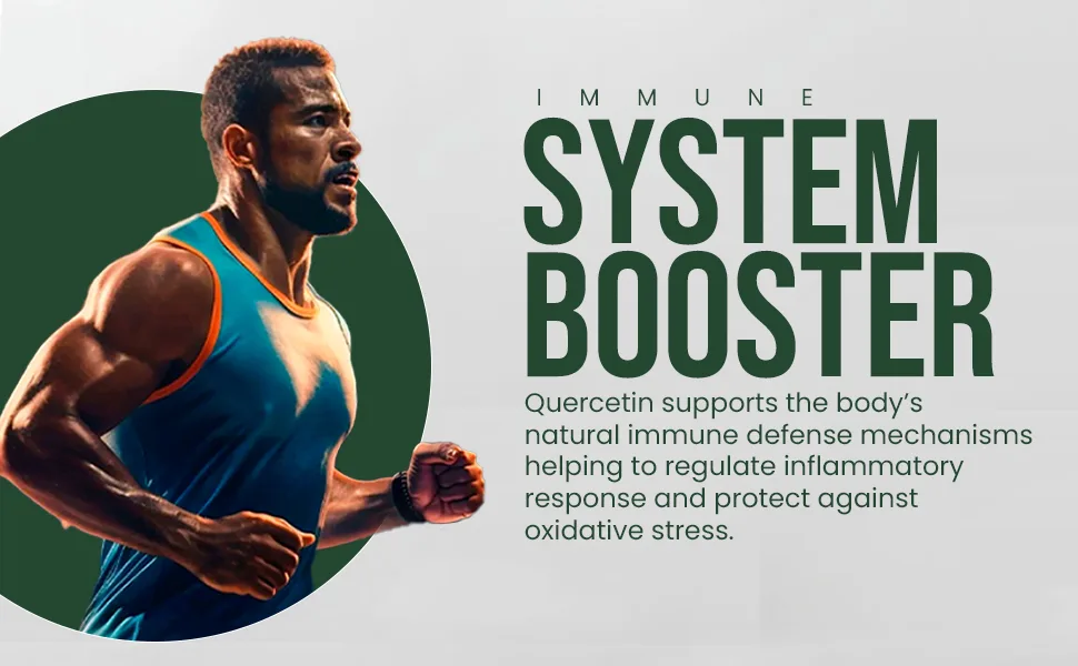 HERBS & SEEDS Quercetin Complex 500mg Supplement Natural Vegan Sources with Bioflavonoids & Potent Antioxidants for Cellular Health Support & Promotes Immunity 90 Capsules - Quercetin Complex