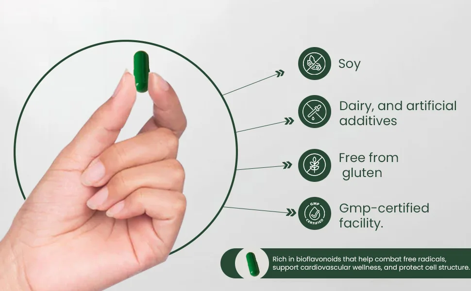 HERBS & SEEDS Quercetin Complex 500mg Supplement Natural Vegan Sources with Bioflavonoids & Potent Antioxidants for Cellular Health Support & Promotes Immunity 90 Capsules - Quercetin Complex