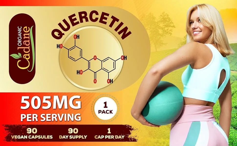 Organic Cadane Quercetin Extract Capsules - Combined Turmeric Berberine Nettle Leaf & More - 90 Capsules 3 Months Supply - quercetin quer quercetin 500mg capsules queuosine quercitin quercetin powder quercetin 500mg