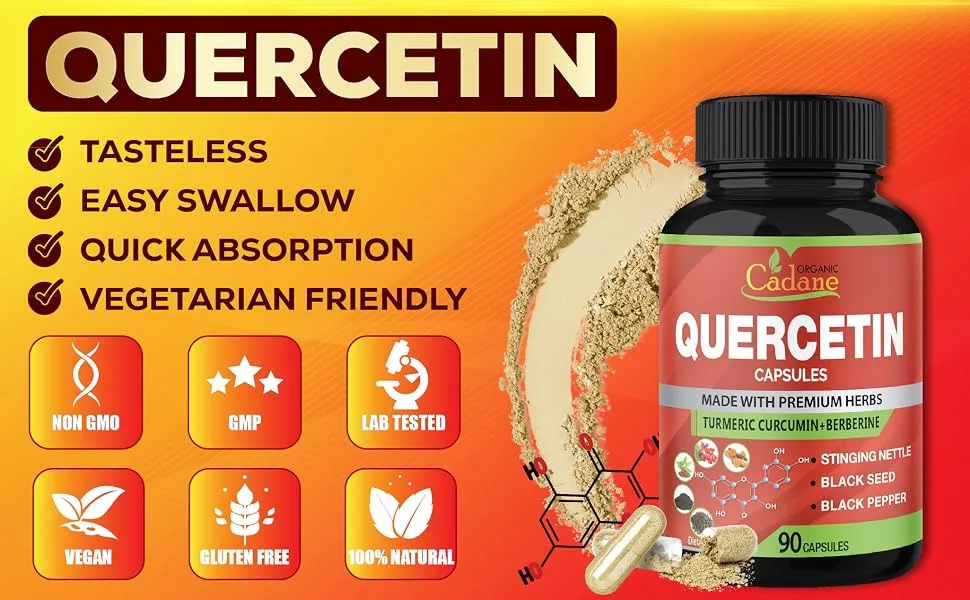 Organic Cadane Quercetin Extract Capsules - Combined Turmeric Berberine Nettle Leaf & More - 90 Capsules 3 Months Supply - quercetine quercerin quercetin and nettles vitamin quercetin 500mg quercetin nettles quercetin plus