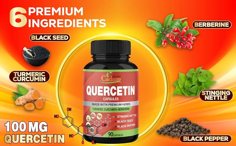 Organic Cadane Quercetin Extract Capsules - Combined Turmeric Berberine Nettle Leaf & More - 90 Capsules 3 Months Supply - queretecin 500 mg quercitin supplements querctin capsules qercetin queritin quercitin capsules