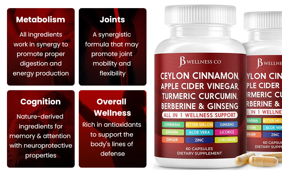 Ceylon Cinnamon Turmeric ACV Ginseng Aloe Vera Berberine Plus Banaba Ginger Root - 120 Capsules 120 Capsules (Pack of 2) - ceylon
