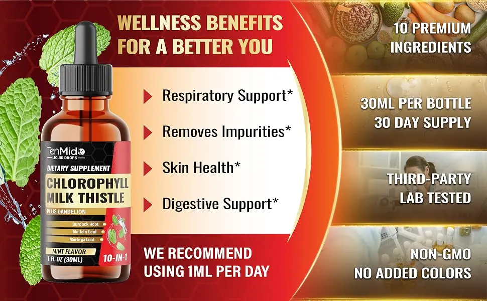Tenmido 10in1 Chlorophyll Liquid Drops with Mullein Milk Thistle Dandelion Burdock Root Moringa Neem Aloe Vera Peppermint and Ginger - 30 Days Supply - 1 FL Oz - chlorophyllin chlorophyll supplements chlorophyll for women chlorophyll amazon chlorophyll mint