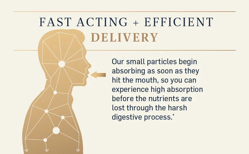 Quicksilver Scientific Dr. Shade's Bitters No. 9 - for Digestion - Fast Acting Liposomal Digestive Bitters with Milk Thistle Burdock Root & Juniper Essential Oil - Digestive Support (50ml) - fast acting delivery