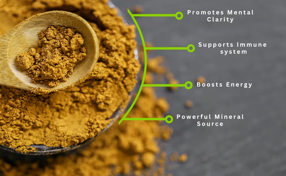 Matcha Outlet Shilajit Pure Extract Powder- 2oz - mathca outlet benefits
