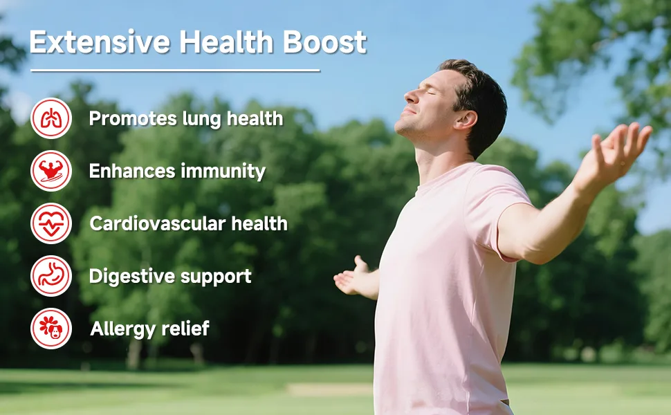 RindTi Quercetin with Bromelain Quercetin 500mg Capsules Immune Health Respiratory Wellness 60 Capsules - RindTi Quercetin with Bromelain
