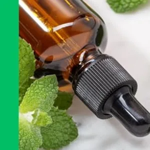GreenHealth Peppermint Essential Oil 2 Pack (16 fl oz Each) 100% Pure & Uncut White Plastic Jugs Bulk Essential Oil for Diffusers DIY Cleaning Peppermint 16 Fl Oz (Pack of 2) - sdfssdfg