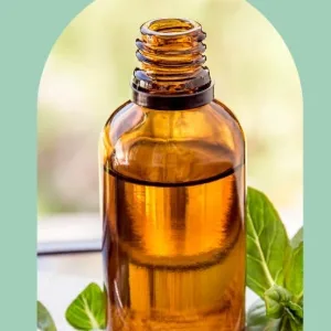 GreenHealth Peppermint Essential Oil 2 Pack (16 fl oz Each) 100% Pure & Uncut White Plastic Jugs Bulk Essential Oil for Diffusers DIY Cleaning Peppermint 16 Fl Oz (Pack of 2) - sdgefgre
