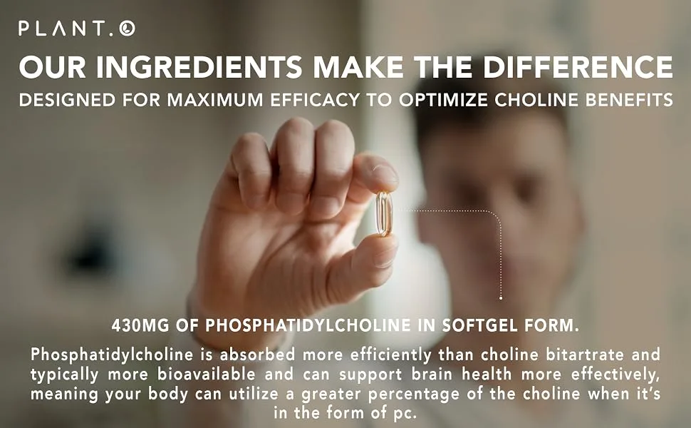 PLANT.O NUTRITION Choline Phosphatidyl Supplement | High Potency 430mg Phospholipid Complex | Promotes Energy Liver Brain & Cognitive Health | 60 Softgels - choline