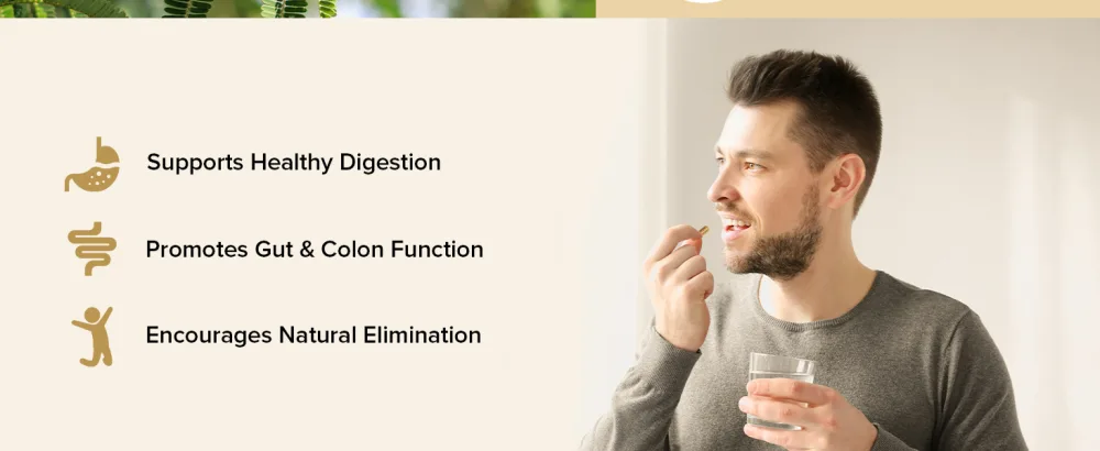 VAHDAM Triphala Capsules 1250 mg - High Strength Supplement with Amla Bibhitaki Haritaki Extract | Supports Healthy Digestion & Colon Function | 90 Capsules - product information 4