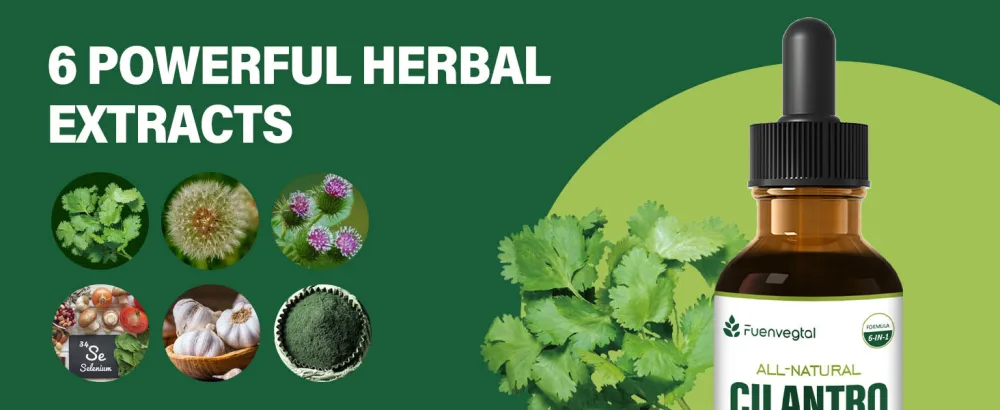 Fuenvegtal All Herbal Liquid Drops Cilantro Extract for Body Detox & Cleanse Combat Free Radicals & Immune Support. 2oz - xcz3
