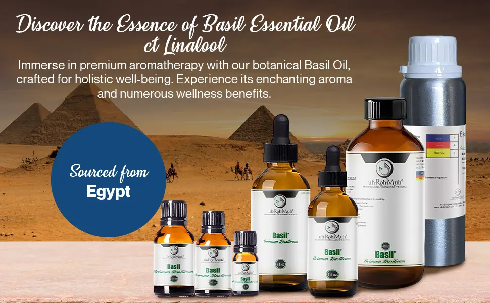 Basil Essential Oil ct linalool (1oz) 1 Fl Oz (Pack of 1) - Basil Essential Oil ct linalool
